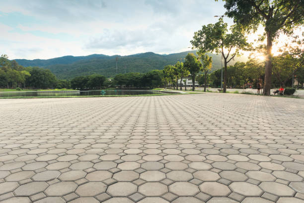 Best Residential Paver Driveway  in Ballinger, TX